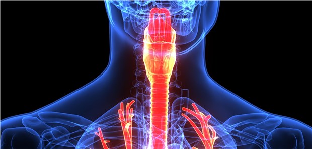 Antikörper erhöhen die Therapiechancen bei schwerem Asthma. Die Tripletherapie ist eine Option bei häufigen COPD-Exazerbationen.