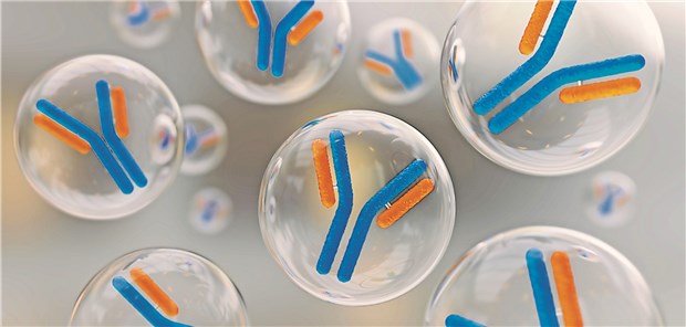 HIV-Antikörper weisen den Weg Antikörper (hier als 3D-Darstellung) sind der Fokus der Suche nach einem HIV-Impfstoff.
