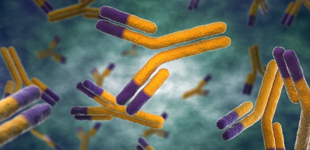 Entwicklungsschub bei MS-Arzneien Antikörper - in der MS-Therapie eine der wichtigsten Waffen.