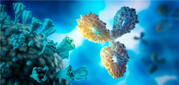 Antikörper und Virus – in breit neutralisierende Antikörper als Therapieoption gegen das HI-Virus werden große Hoffnungen gesetzt.