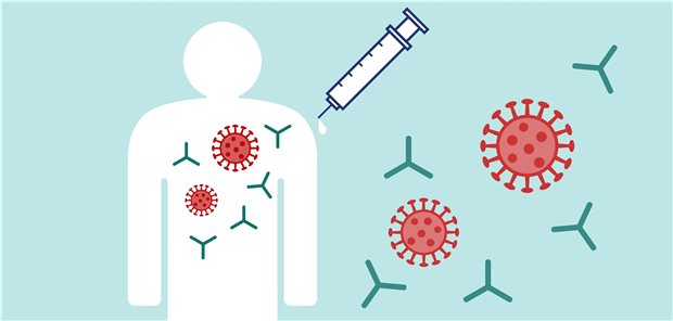 SARS-CoV-2-Antikörpertests: Laborärzte fordern Grenzwerte Antikörpertests sind derzeit das Mittel der Wahl, um eine Corona-Infektion ex post sicher feststellen zu können.