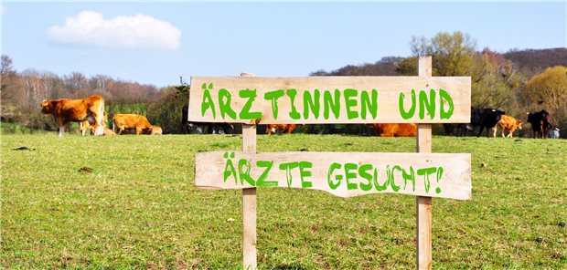 Anwärter für die Landpartie gesucht: Angehende Ärztinnen und Ärzte sollen in dem Programm nicht nur an die Region gebunden, sondern vor allem fürs Fach Allgemeinmedizin begeistert werden.