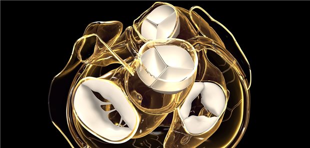 Aortenklappe im Fokus. Die Entscheidung, was das optimale Procedere bei asymptomatischen Patienten mit schweren Stenosen der Herzklappe ist, ist nicht immer einfach.