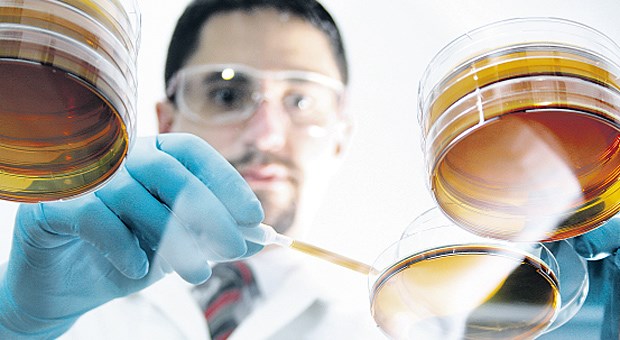 Die spannende Geschichte der HeLa-Zellen Arbeit im Labor - dort beginnt die Geschichte um die Krebszellen von Henrietta Lacks, die bis heute vielfach in der Forschung eingesetzt werden.