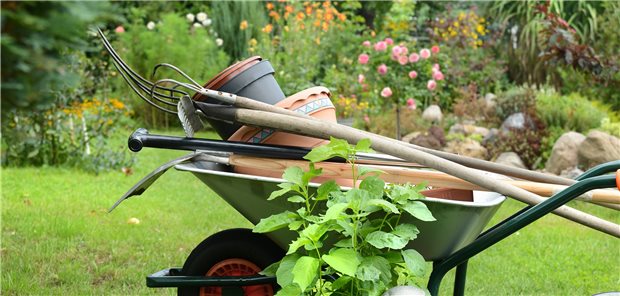 Hobbygärtner und Heimwerker lassen die Kurse sprießen Arbeiten im eigenen Grün liegt im Trend: Wer sich für einen Schrebergarten interessiert, muss Jahre auf eine freie Parzelle warten.