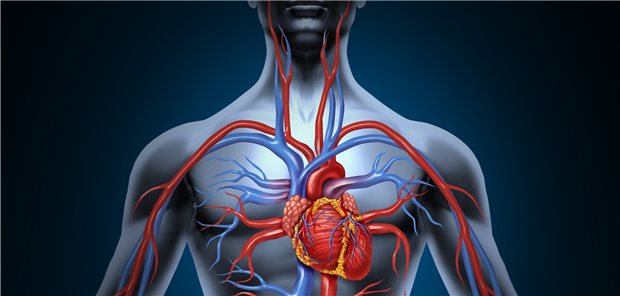 Angiologische Themen sind beim diesjährigen Internistenkongress ein Schwerpunktthema. Es gab Tipps zur Diagnostik und Therapie. 