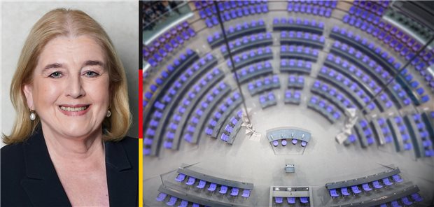 Abgeordnete im Porträt: Astrid Timmermann-Fechter (CDU) Astrid Timmermann-Fechter (CDU)