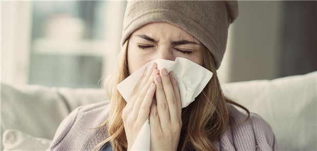 Atemwegserkrankungen waren mit 378,3 Fehltagen je 100 Versicherte im vergangenen Jahr Krankheitsursache Nummer eins.