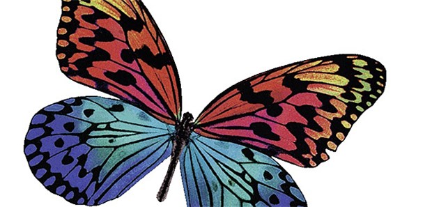 Wechselwirkungen bei L-Thyroxin-Substitution im Fokus Auch 2017 findet wieder die Aktionswoche der Schilddrüsen-Initiative Papillon statt.