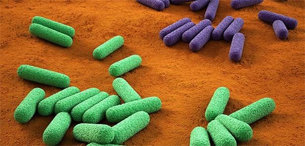 Schwarze Liste der gefährlichsten Bakterien Auch Pseudomonas aeruginosa stehen auf der Liste der gefährlichsten Bakterien.