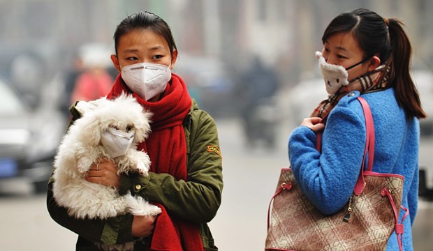Smog-Alarm für Millionen Auch Vierbeiner sind von Smog gefährdet: Chinesische Damen mit einem maskierten Hund am Dienstag in Shijiazhuang.