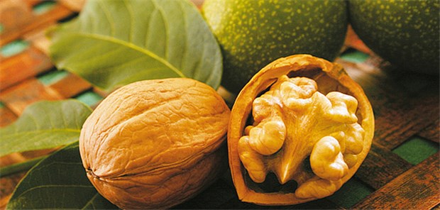 Auch Walnüsse sind gut für die Lipidwerte.