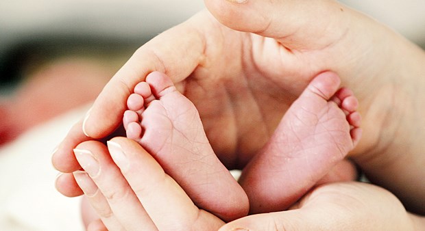 Auch bei späten Frühchen sind die Organe noch nicht voll ausgereift.