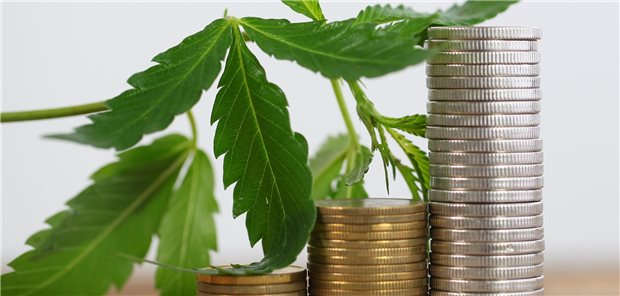 Cannabis-Legalisierung könnte einigen Geldsegen bescheren Auch der Staat können von zusätzlichen Einnahmen durch die Cannabis-Legalisierung profitieren.