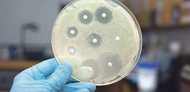 Auch in Kanada wurden jetzt in einer Studie viele resistente Gonokokken gefunden.