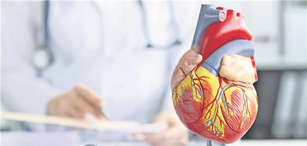 Auch in der Herzgesundheit soll die partizipative Entscheidungsfindung immer weiter berücksichtigt werden. Empfehlungen dazu sind nun in der Nationalen Versorgungsleitlinie KHK verankert.  