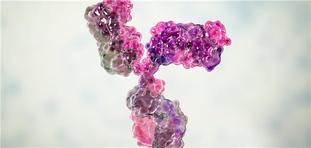 Dreidimensionales Molekülmodell eines Antikörpers, der an der Immunabwehr beteiligt ist.