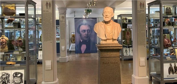 Auf- und Abstieg eines großen Internisten Auf dem Plakat im Museum blickt Frerichs auf die Büste seines früheren Kontrahenten Virchow.