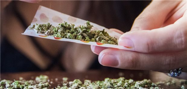 Holetschek fordert auf, „den Cannabis-Trip“ zu beenden Auf dem Weg zum Cannabis-Konsum: Vor der geplanten Legalisierung warnt Bayern unermüdlich.