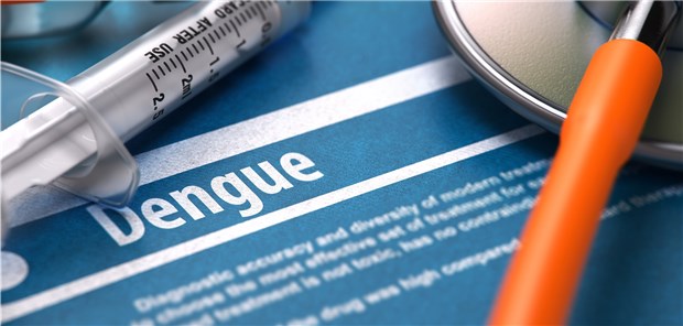 Philippinen rufen Dengue-Notstand aus Auf den Philippinen starben in diesem Jahr bereits 622 Menschen an den Folgen von Dengue.