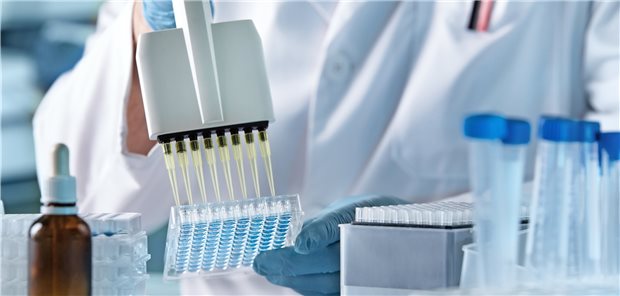 Auf der Suche nach neuen Krebstherapien. Forscher nutzen jetzt mesenchymale Stammzellen als Transportvehikel für den Jodtransporter NIS.