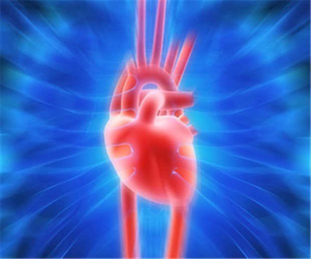 Kontroverse um Rosiglitazon wieder aufgeflammt Auf in mögliches Herzinfarktrisiko wird nun in der Fachinformation von Rosiglitazon hingewiesen. © Sebastian Kaulitzki / fotolia.com