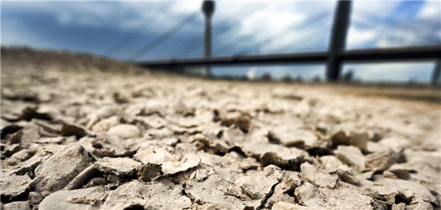 Aufgeplatzte Erde am Rheinufer im Juli 2022: Beim Medizinischen Fakultätentag wurden Möglichkeiten diskutiert, wie sich der Klimawandel in der medizinischen Aus- und Weiterbildung niederschlagen sollte.