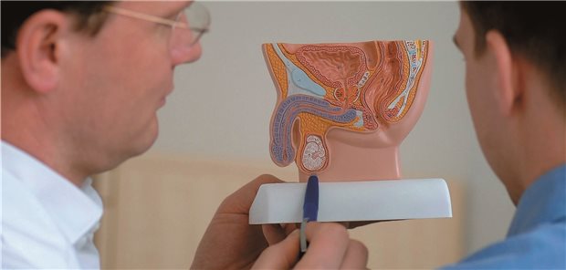 Aufklärungsgespräch: Der Einfluss einer Prostatabiopsie auf die Erektionsfähigkeit scheint einer Studie zufolge nur vorübergehend zu sein.