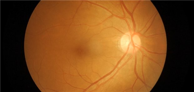 Augen sind die Fenster zur Seele? Vielleicht - viel sicherer ist jedoch, dass Augen die Fenster zum Nervensystem und neurologischen Gesundheit sind. (Symbolbild)
