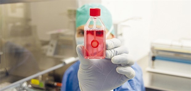 So viele Spender wie nie zuvor Augenhornhäute haben den größten Anteil unter den transplantierten Geweben.