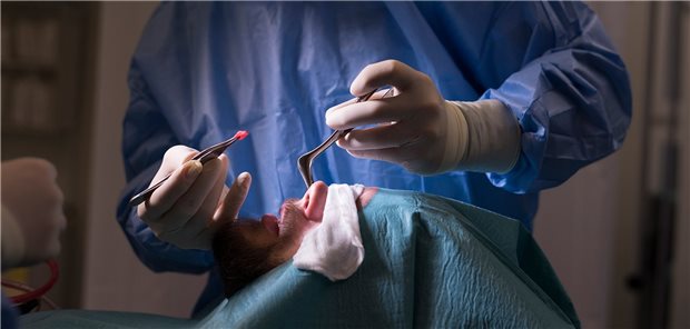 Aus der Nasenscheidewand stammt das Knorpelgewebe, das als Grundlage für den Knorpelersatz dient.