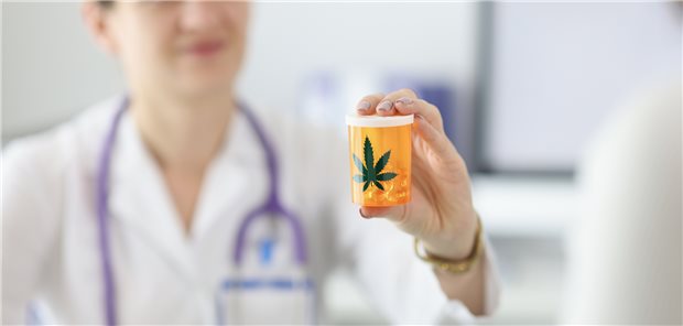 Ausgewählte Facharztgruppen sollen Medizinalhanf künftig ohne vorherige Genehmigung der Kasse erstverordnen dürfen. Der G-BA ist beauftragt, eine Liste dieser Fachgruppen zusammenzustellen.