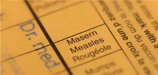 Ausschnitt aus einem Impfpass: Viele europäische Länder bekleckern sich bei der Masernimpfquote nicht gerade mit Ruhm.