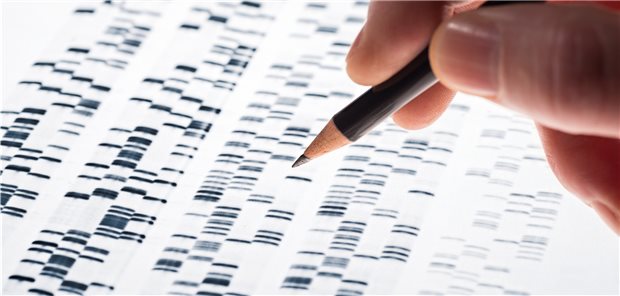 Apotheke der Welt? Ein dorniger Weg für Deutschland Auswertung eines DNA-Gels: Für die forschende Pharmaindustrie steht der Zugang zu pseudonymisierten Gesundheitsdaten mit oben auf der Agenda.