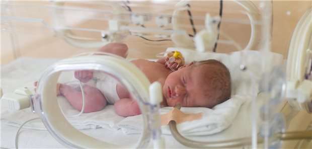 Frühgeborenes Säugling im Inkubator. 