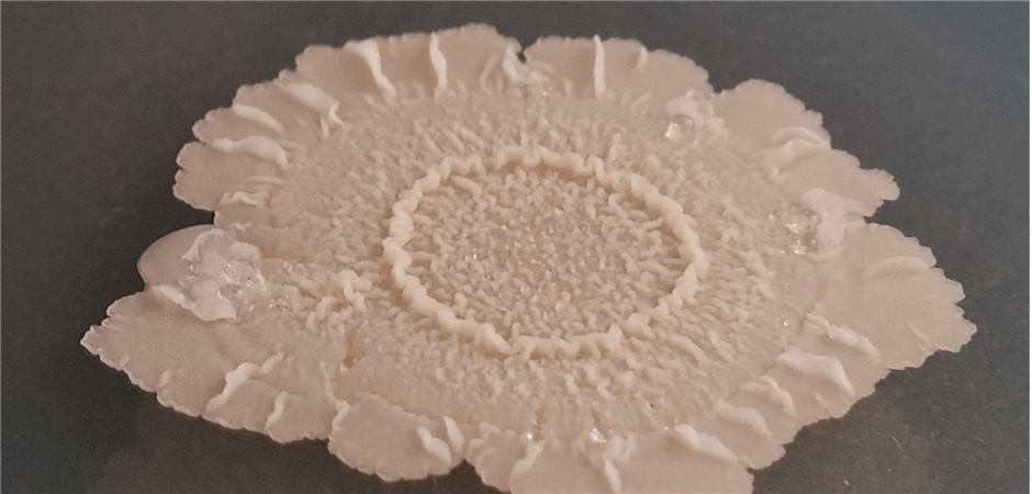 Bacillus subtilis ist Mikrobe des Jahres 2023