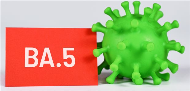 BA.5: Die Omikron-Subvariante von SARS-CoV-2 ist leichter übertragbar als frühere Varianten.
