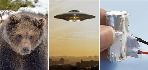 Bären, Ufos und ein ganz besonderer Schrittmacher-Prototyp