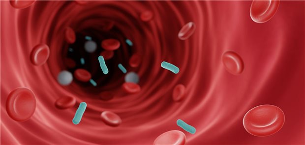 Bakterielle Erreger im Blut (Symbolisches Bild)