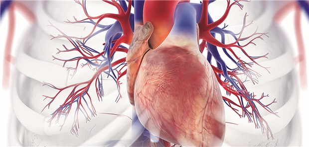 Bald neue Option fürs Herz? Dapagliflozin wirkt in der DAPA-HF-Studie.