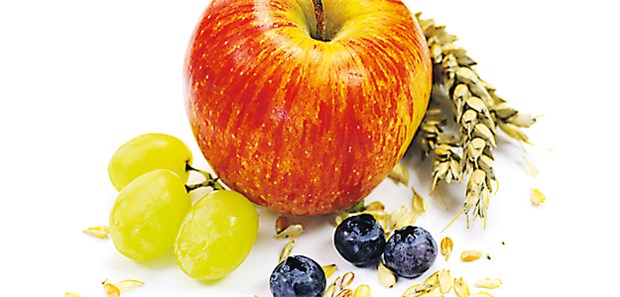 Vollkorn & Co. offenbar gut für die Lunge Ballaststoffreiche Ernährung: Führt sie zu einer geringeren allergischen Atemwegsentzündung?