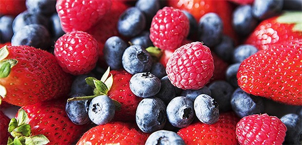 Beeren-Liebhaber bleiben länger geistig fit Beeren haben womöglich einen kognitiven Schutzeffekt.