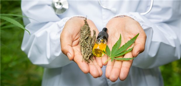 Hohe Hürden für Cannabis-Verordnung auf Kasse Begehrt, aber zu Lasten der gesetzlichen Krnakenkassen nicht so leicht zu haben: THC-Präparate.