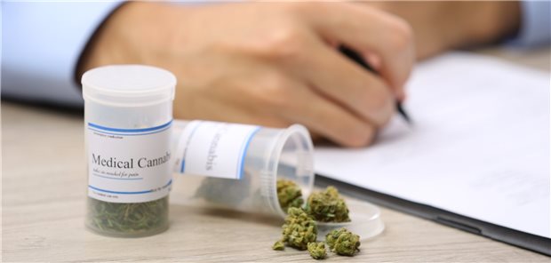 Begehrte Phyto-Therapie: Sozialrechtlich sind der THC-Verordnung Grenzen gesetzt. Die Hoffnungen vieler Patienten richten sich dann auf ein Privatrezept.