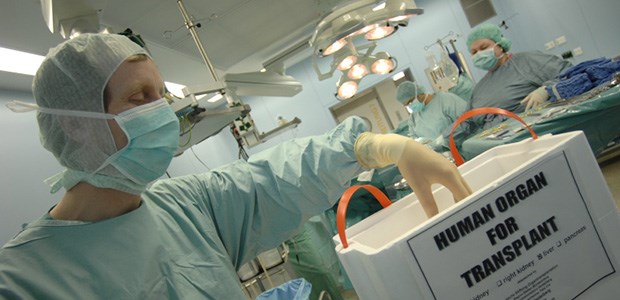 Debatte um Zahl der Zentren Beherzter Griff in die Box: Die Zahl der Transplantzentren rückt in die Diskussion.