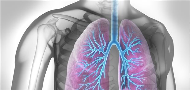 Bei Alpha-1-Antitrypsinmangel mit chronischer Entzündung und oft auch Verengung der Bronchien und der Lunge kann das Protein Alpha-1-Antitrypsin als Medikament verabreicht werden.