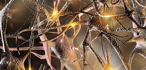 ALS ist mit Demenz eng verwandt Bei Amyotropher Lateralsklerose werden Nervenzellen, die für Muskelbewegungen zuständig sind, abgebaut.
