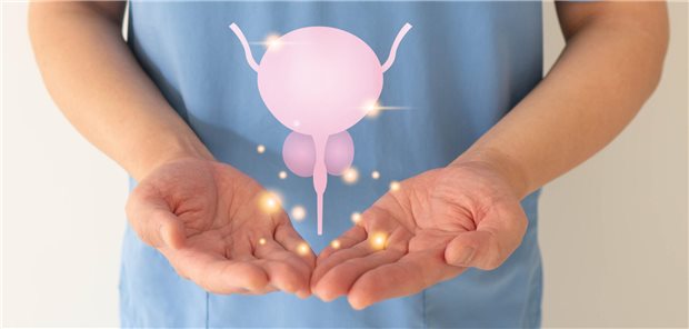 Bei BPH-Patienten mit leichten bis moderaten Beschwerden sind Phytopharmaka wie PRO 160/120 mit in klinischen Studien belegter Wirksamkeit eine Option.