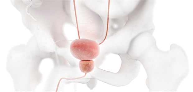 Plädoyer für organschonende Strategie Bei Blasen-Ca könnten ältere Patienten von einer organschonenden Therapiestrategie profitieren.