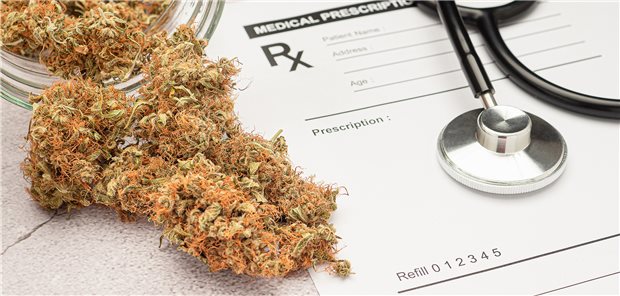 Bei Cannabisblüten würden die Krankenkassen in Berlin gerne Therapieempfehlungen in der Arzneimittelvereinbarung verankern.